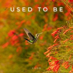 Used to Be