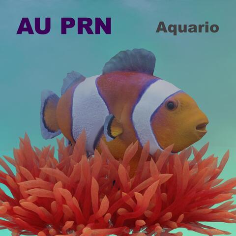 Aquario