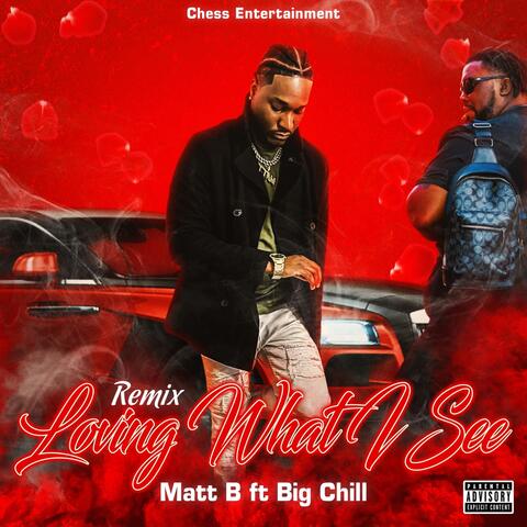 Loving What I See (Remix) [feat. Big Chill]