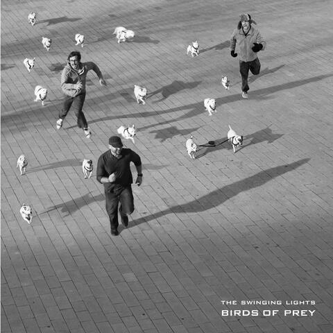Birds of Prey