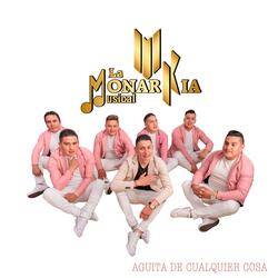 Aguita de Cualquier Cosa