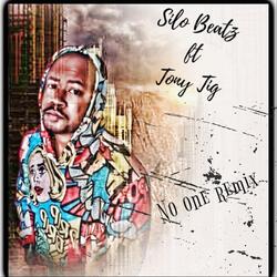 No One (Remix) [feat. Tony Tig]