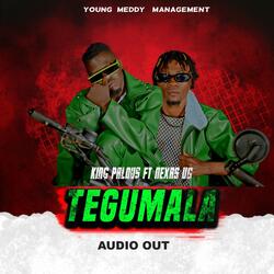 Tegumala (feat. Nexas Ug)
