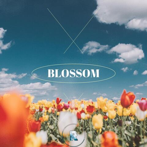Blossom (Live)