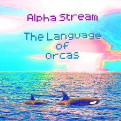 The Language of Orcas