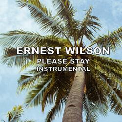 Please Stay (Instrumental)
