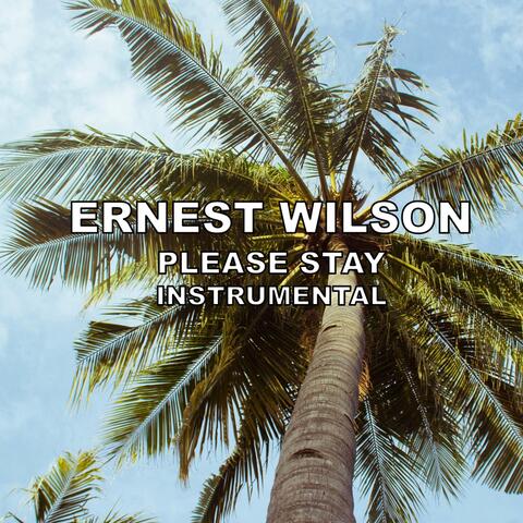 Please Stay (Instrumental)