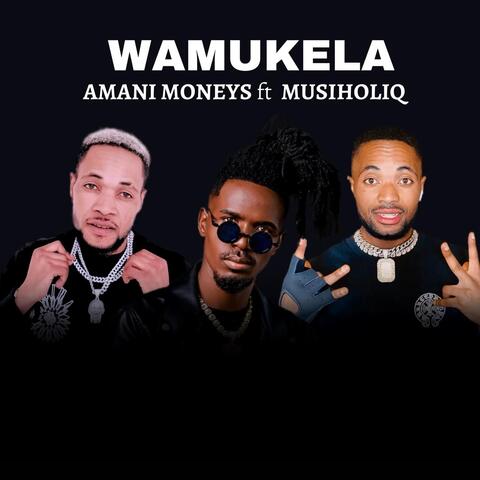 Wamukela (feat. Musiholiq)