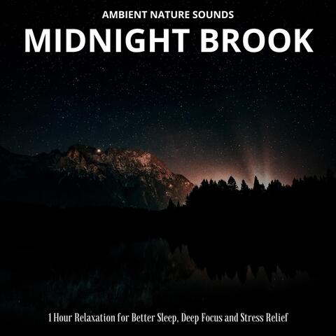 Ambient Nature Sounds: Midnight Brook (1 Hour Relaxation for Better Sleep, Deep Focus and Stress Relief)