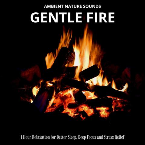Ambient Nature Sounds: Gentle Fire (1 Hour Relaxation for Better Sleep, Deep Focus and Stress Relief)