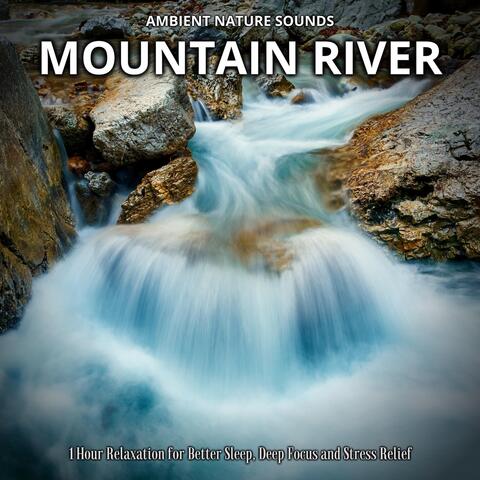 Ambient Nature Sounds: Mountain River (1 Hour Relaxation for Better Sleep, Deep Focus and Stress Relief)