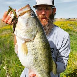 Lookin' For A Bucketmouth