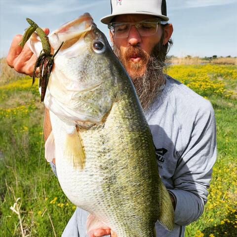 Lookin' For A Bucketmouth