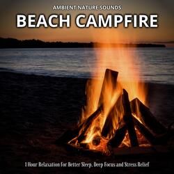 Sandy Beach Warmth