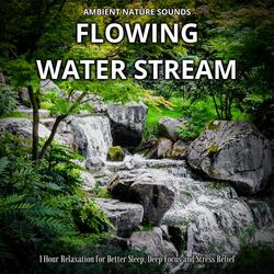 Harmonious Stream Harmony