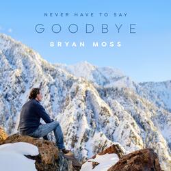 Never Have to Say Goodbye (Orchestrated Instrumental)