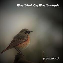 The Bird on the Branch