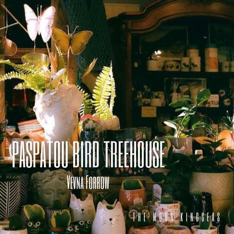 Paspatou Bird Treehouse (feat. Vevna Forrow)