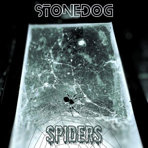 Spiders