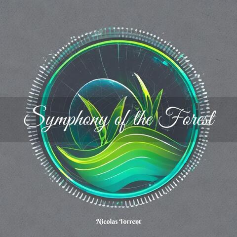 Symphony of the Forest