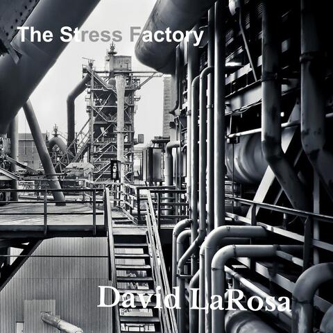 The Stress Factory