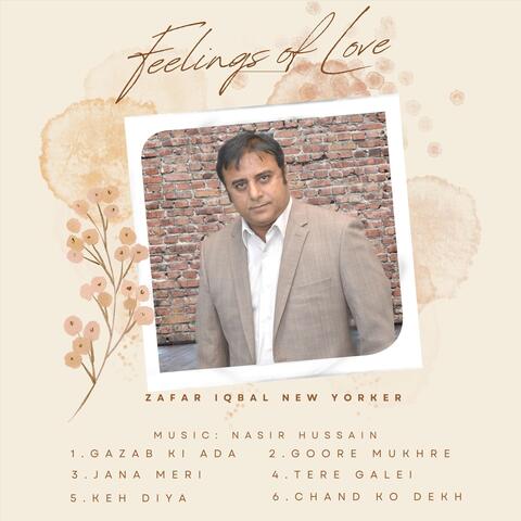 Feelings Of Love