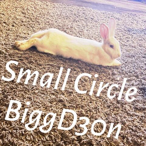 Small Circle
