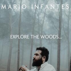 Explore the Woods...