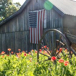 Tillman Country