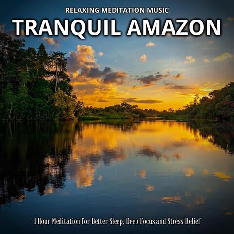 Relaxing Meditation Music: Tranquil Amazon (1 Hour Meditation for Better Sleep, Deep Focus and Stress Relief)