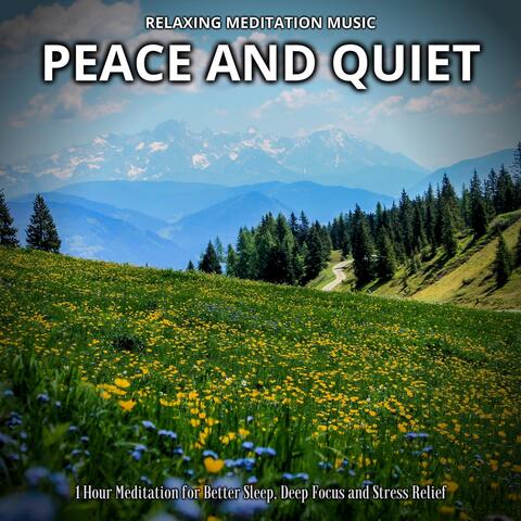 Relaxing Meditation Music: Peace and Quiet (1 Hour Meditation for Better Sleep, Deep Focus and Stress Relief)