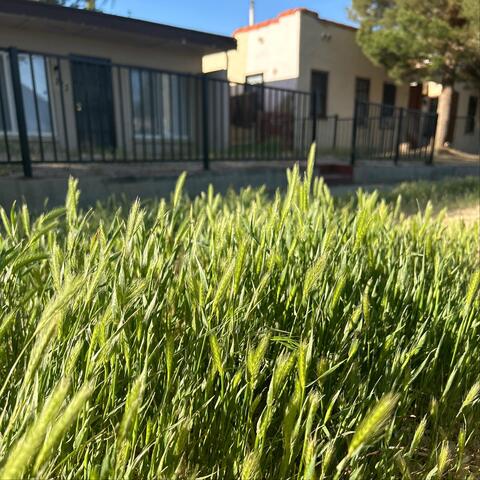 Dry Places: A Letter to the Dark Side