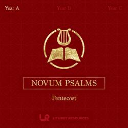 Pentecost Sunday Mass During the Day (Practice Track)