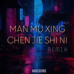 Man Mu Xing Chen Jie Shi Ni (Remix)