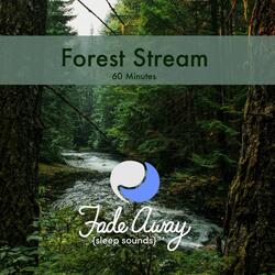 Forest Stream