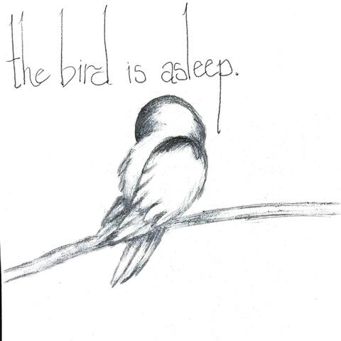 the bird is asleep