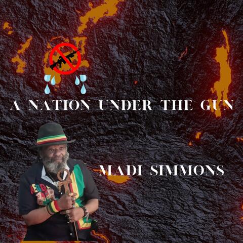 A Nation Under the Gun