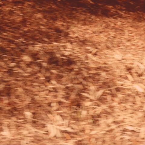 Memory Fragments