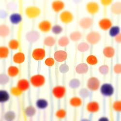 Squeeze Your Head (Live)