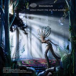 Enchanted Forest