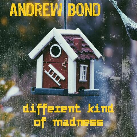 Different Kind Of Madness