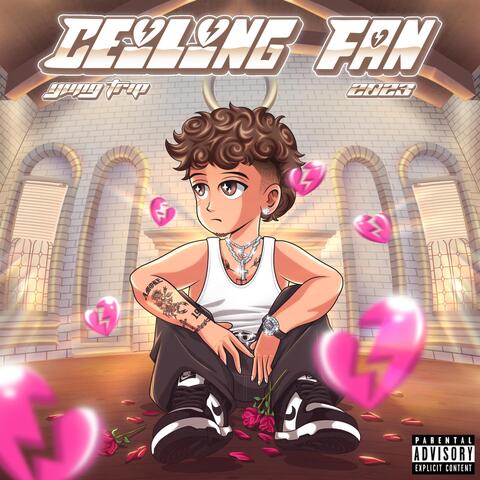 Ceiling Fan
