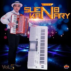 Lunes a Viernes Llankany (feat. Los Ideales Del Sur)
