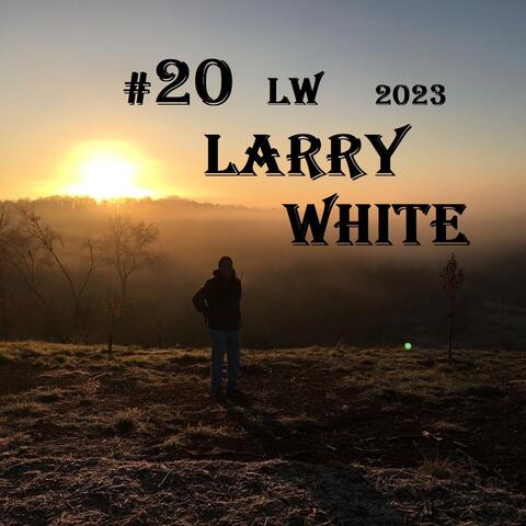 #20