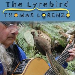 The Lyrebird