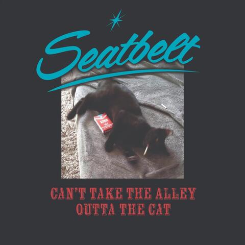 Can’t Take the Alley Outta the Cat