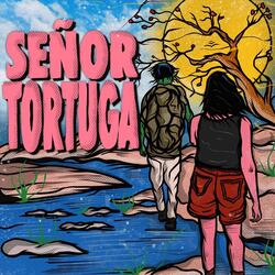 Señor Tortuga