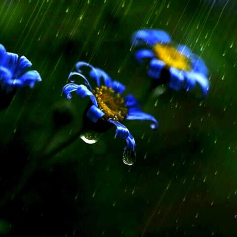 Rain Spa