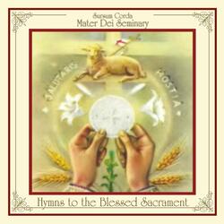 Panis Angelicus (Live)