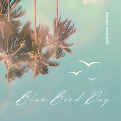 Blue Bird Day